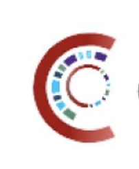 Correlations.ai logo